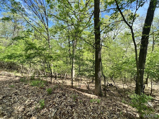 1032 Chesterfield Frst, Wildwood, MO 63005