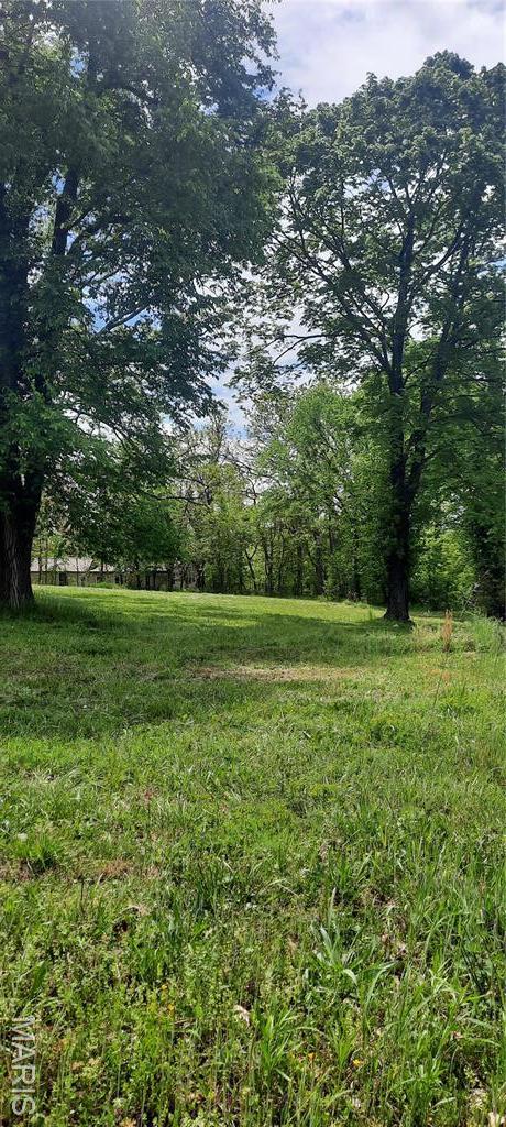 425 Hickory St, Steelville, MO 65565