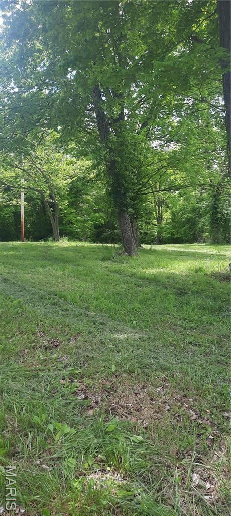 425 Hickory St, Steelville, MO 65565