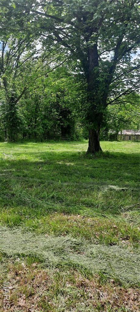 425 Hickory St, Steelville, MO 65565