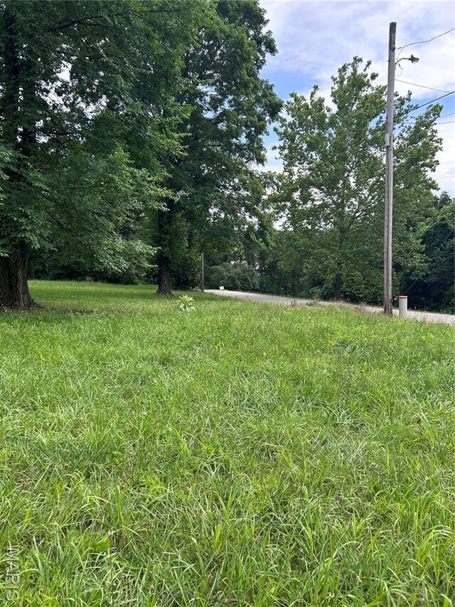 425 Hickory St, Steelville, MO 65565 - photo 8