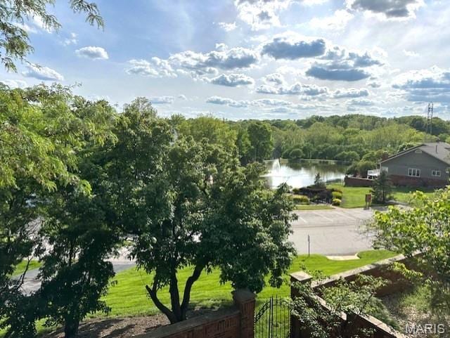 14300 Willow Spring Hill Dr, Chesterfield, MO 63017 - photo 38