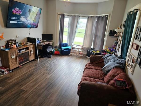 312 S Locust St, Monroe City, MO 63456 - living room with wood finished floors