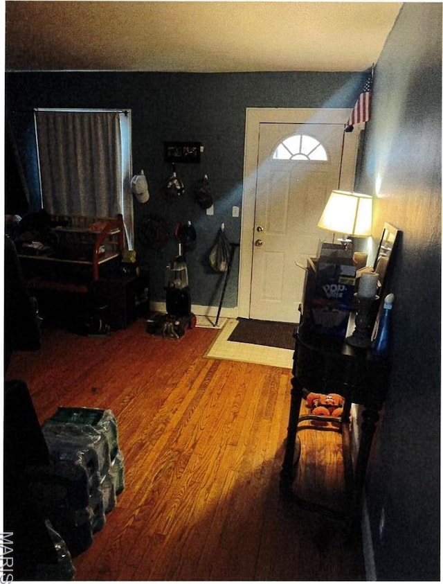 5 Gerri Ann Dr, Belleville, IL 62220 - foyer featuring wood finished floors
