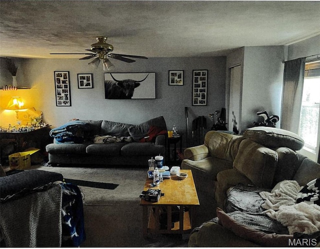5 Gerri Ann Dr, Belleville, IL 62220 - living area with a ceiling fan