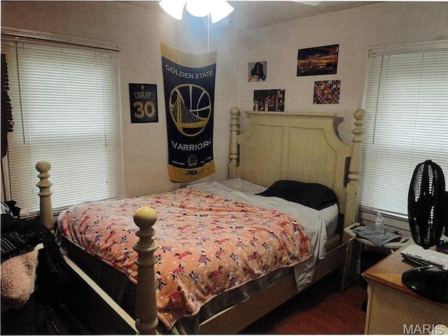 5 Gerri Ann Dr, Belleville, IL 62220 - bedroom with wood finished floors