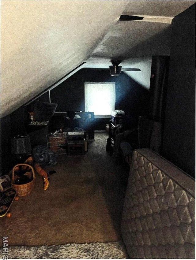 5 Gerri Ann Dr, Belleville, IL 62220 - view of unfinished attic