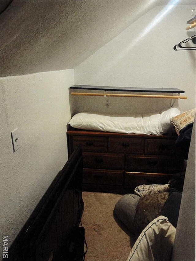 5 Gerri Ann Dr, Belleville, IL 62220 - bedroom with carpet floors and lofted ceiling