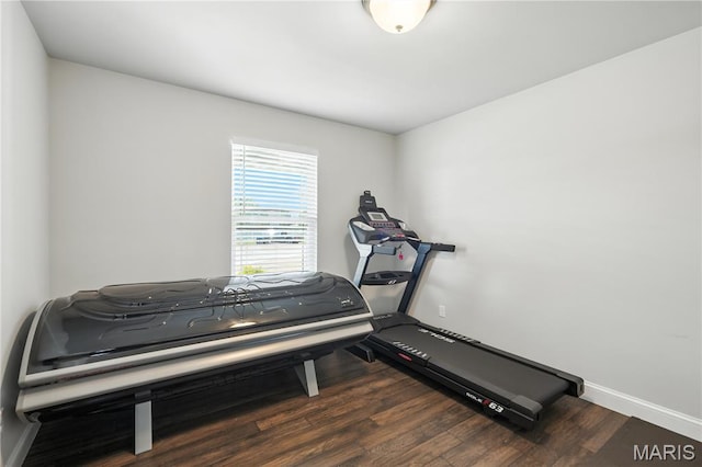 23 Austin Oaks Dr, Moscow Mills, MO 63362 - workout area featuring wood finished floors and baseboards
