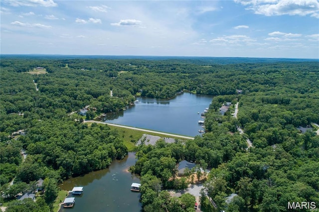 943 Stone Gate Dr, De Soto, MO 63020 - aerial view of a heavily wooded area and a large body of water