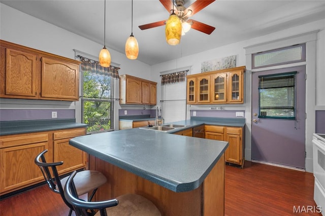 27 N Taylor Ave, Crystal City, MO 63019 - kitchen with a sink, dark countertops, ceiling fan, glass insert cabinets, and dark wood-style flooring