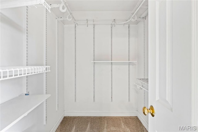 84 Timber Creek Dr Unit 8D, Ofallon, MO 63368 - view of spacious closet