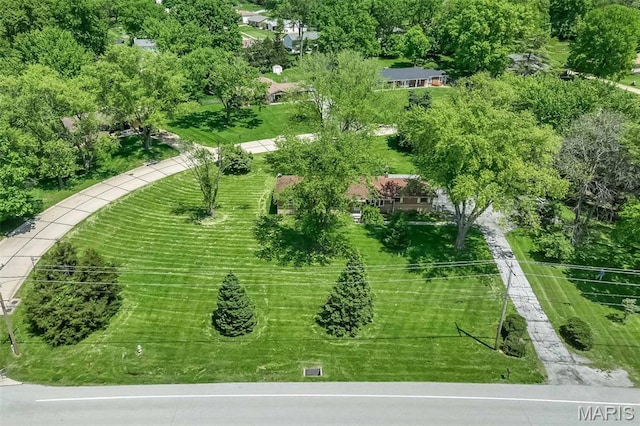 bird's eye view of a tree filled landscape