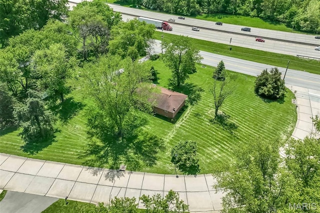 aerial view of a tree filled landscape