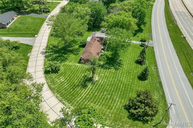 bird's eye view