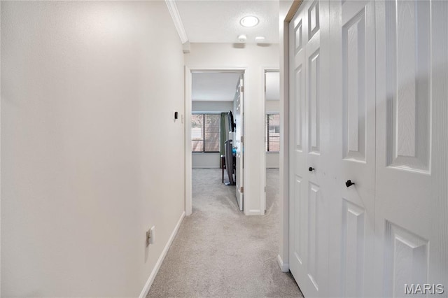 5567 Waterman Blvd Unit D, Saint Louis, MO 63112 - hall with light carpet, baseboards, and crown molding