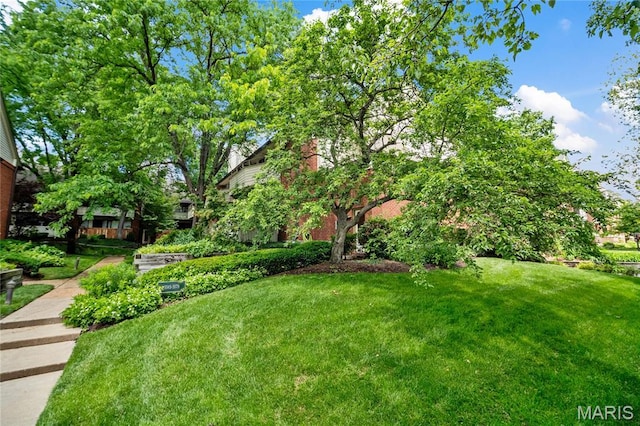 5567 Waterman Blvd Unit D, Saint Louis, MO 63112 - view of green lawn