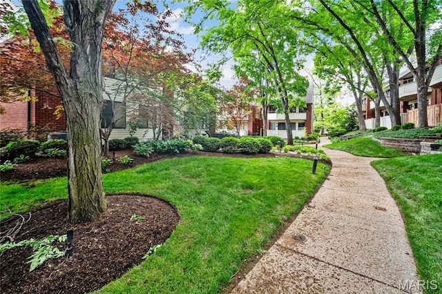 5567 Waterman Blvd Unit D, Saint Louis, MO 63112 - surrounding community with a lawn