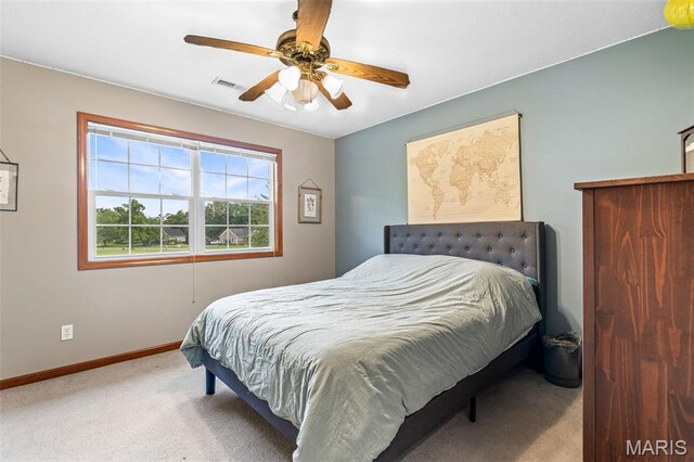 718 Willow Brook Dr, Farmington, MO 63640 - photo 60