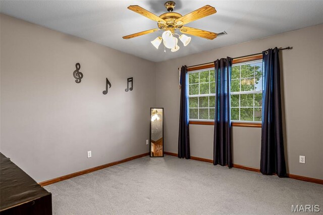 718 Willow Brook Dr, Farmington, MO 63640 - photo 65