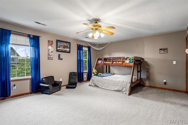 718 Willow Brook Dr, Farmington, MO 63640 - photo 67