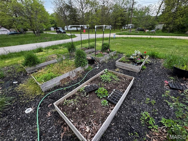 895 Parkway Dr, Bismarck, MO 63624 - view of grassy yard featuring a vegetable garden and view of wooded area