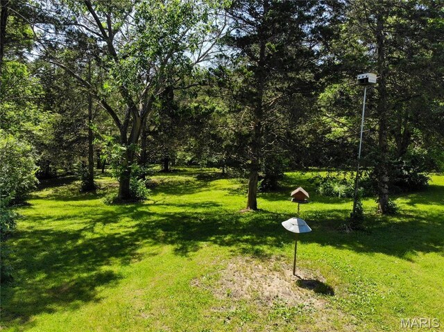 2826 Meyer Rd, Festus, MO 63028 - photo 30