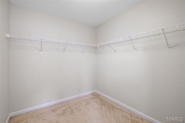 5853 Clemens Ave, Saint Louis, MO 63112 - photo 22