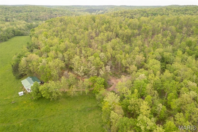 aerial view of a forest
