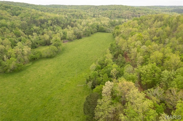 bird's eye view of a heavily wooded area