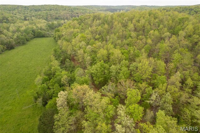 bird's eye view of a heavily wooded area