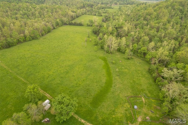 bird's eye view of a forest