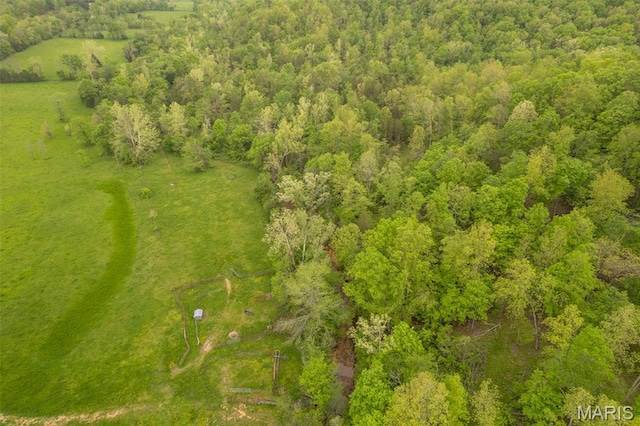 bird's eye view of a heavily wooded area