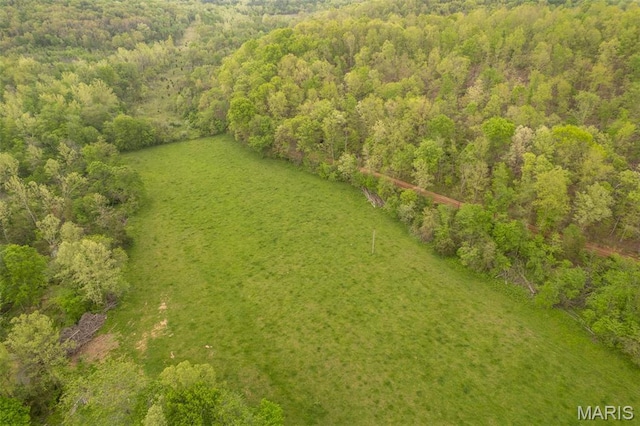 bird's eye view of a heavily wooded area