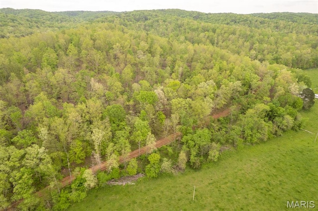 bird's eye view of a forest
