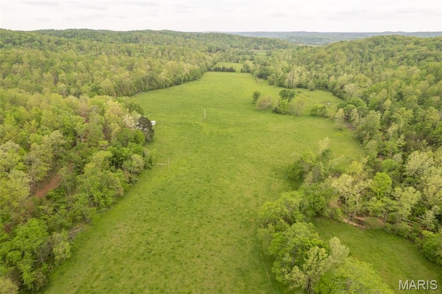 aerial view of sparsely populated area with a forest