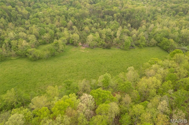 drone / aerial view of a forest