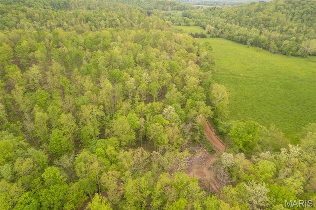 drone / aerial view of a heavily wooded area