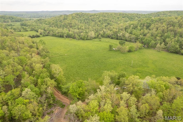 drone / aerial view of a heavily wooded area