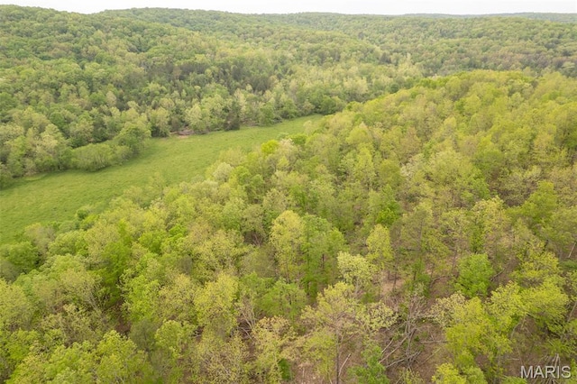 drone / aerial view of a forest