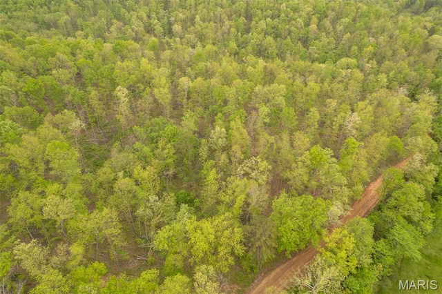 aerial view of a forest