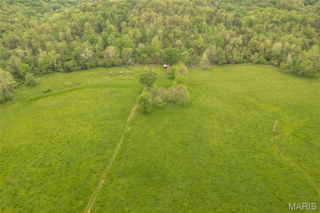bird's eye view
