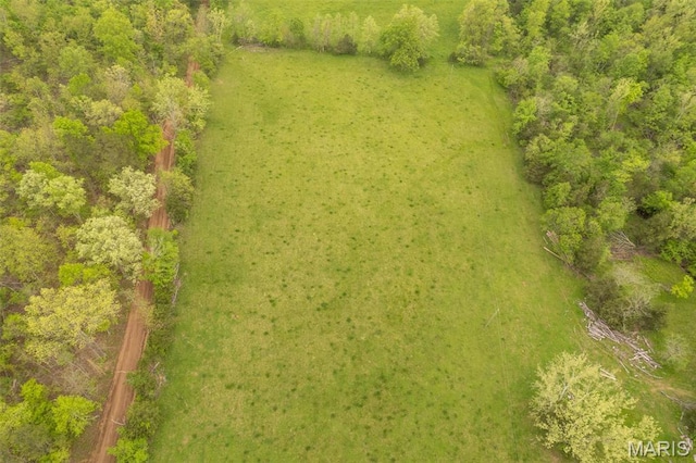 bird's eye view