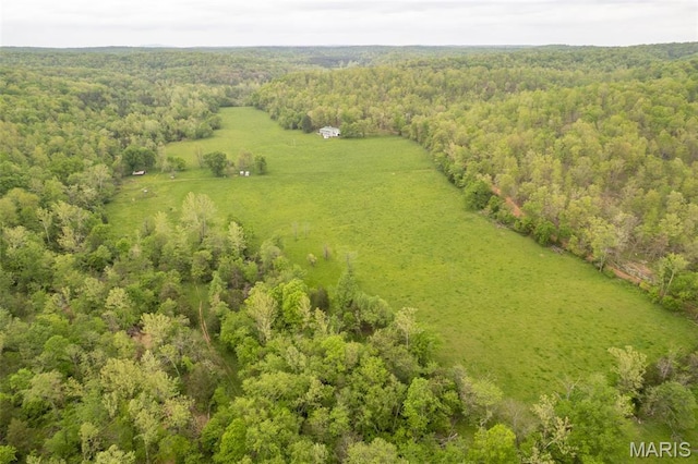 bird's eye view of a forest