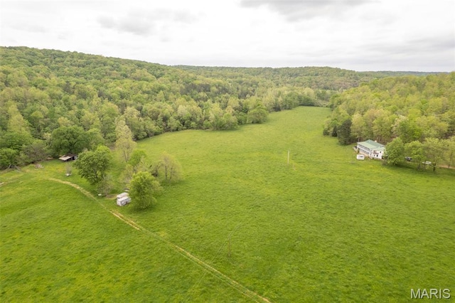 drone / aerial view of a forest