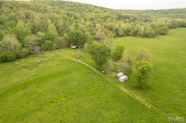 aerial view of a forest