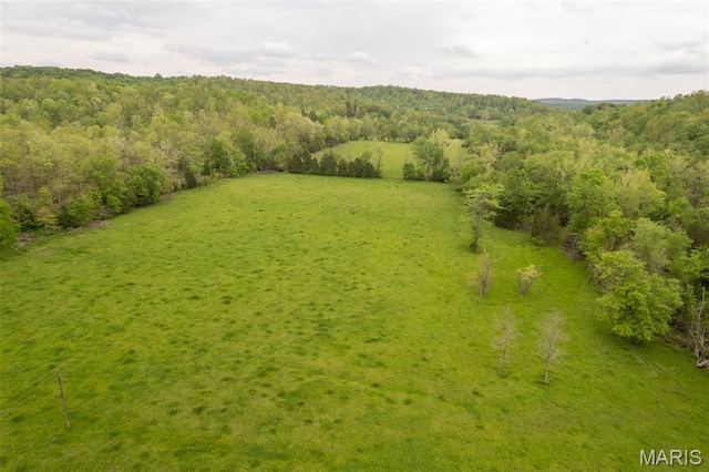 drone / aerial view of a heavily wooded area