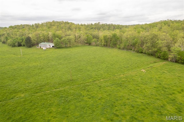view of yard with a wooded view