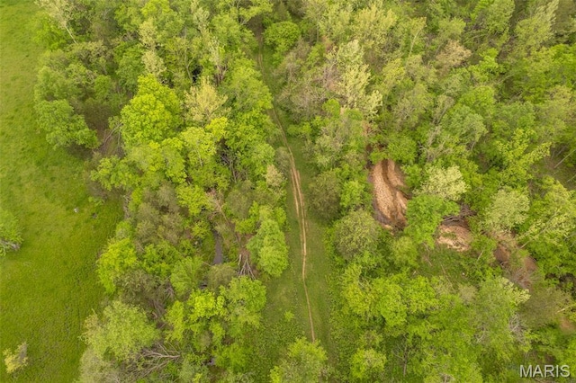 bird's eye view