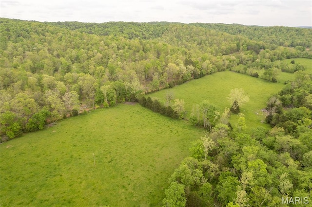 drone / aerial view of a forest